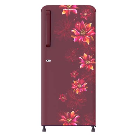 Kelvinator 187 litres 2 Star Single Door Refrigerator (Kelly Wine, KRD ...