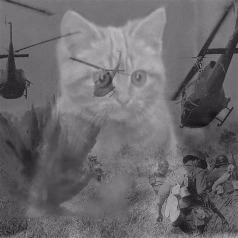 Create meme "flashbacks Vietnam, flashbacks from Vietnam cat, Vietnam ...