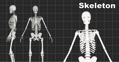 Image result for Unity 2D Skeleton Animation