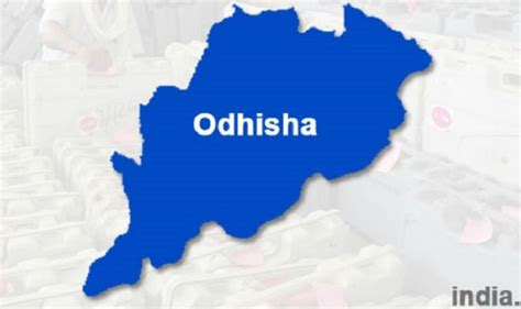 Odisha sets timeline for mega project implementation | India.com