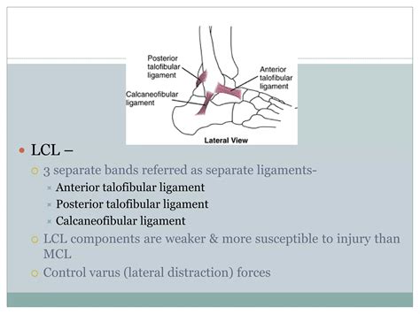 Ankle & foot biomechanics | PPTX