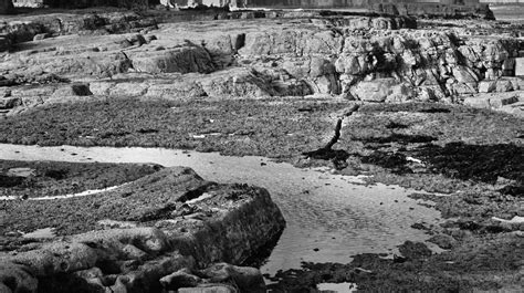 Image result for Inception Beach