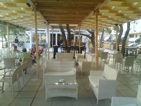 ΚΑΦΕΤΕΡΙΑ-ΜΠΑΡ | ΙΤΕΑ ΦΩΚΙΔΑ | MOSTRA CAFE BAR - Greekcatalog.net