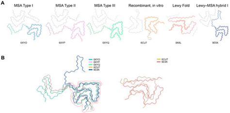 AI-Guided Dual Strategy for Peptide Inhibitor Design Targeting ...