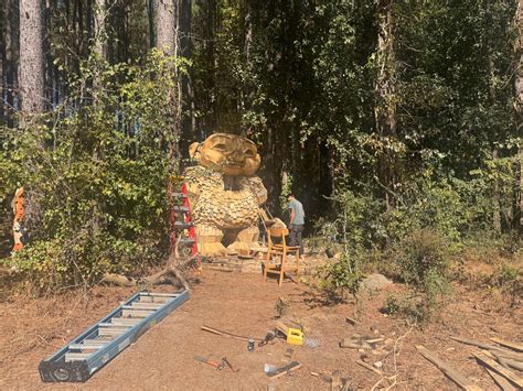 Dorothea Dix Park troll art installation nearly complete