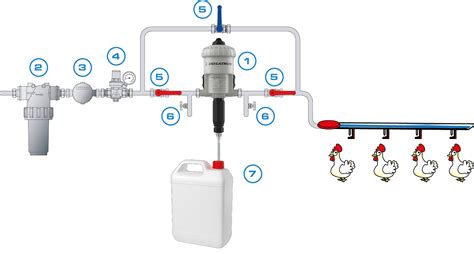 Acidification of Drinking Water | Dosatron Animal Health Application