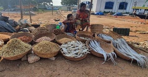 Odisha’s fishing ban compensates the fishers at sea. But what about the ...