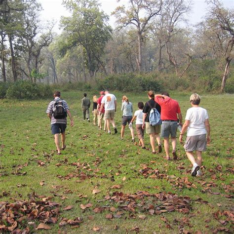 CHITWAN WILDLIFE SAFARI - All You Need to Know BEFORE You Go 2026 (with ...