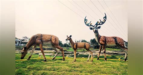 Botanical Gardens In Gachibowli | LBB, Hyderabad