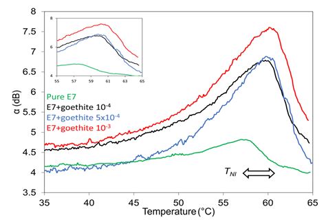 Influence of Goethite Nanorods on Structural Changes and Transitions in ...