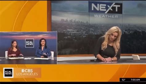 Terrifying clip of LA meteorologist collapsing on live TV goes viral ...