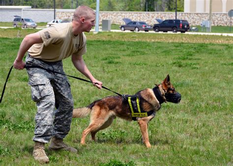 Multi-agency K-9 training helps teams develop new skills and techniques ...