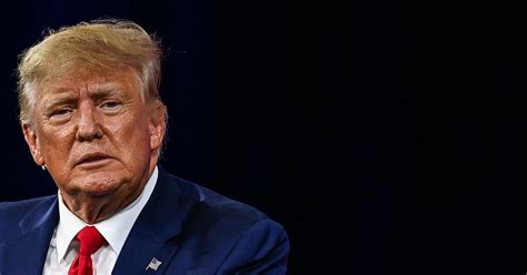 Donald Trump should be barred from holding public office, says Capitol ...