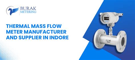 Thermal Mass Flow Meter Manufacturer and Supplier in Indore - Burak