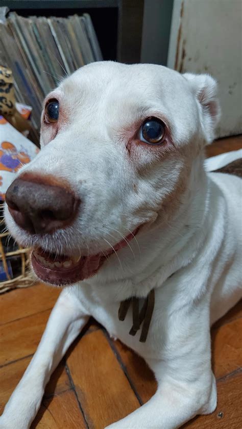 This beautiful lady means the world to me and is now fighting in the ...