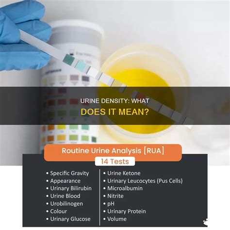 Urine Density: What Does It Mean? | MedShun
