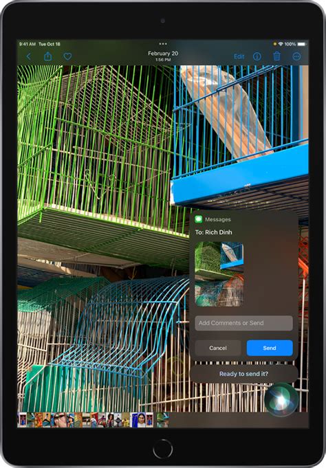 Find out what Siri can do on iPad - Apple Support (IN)