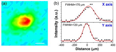 Spin-ARPES EUV Beamline for Ultrafast Materials Research and Development