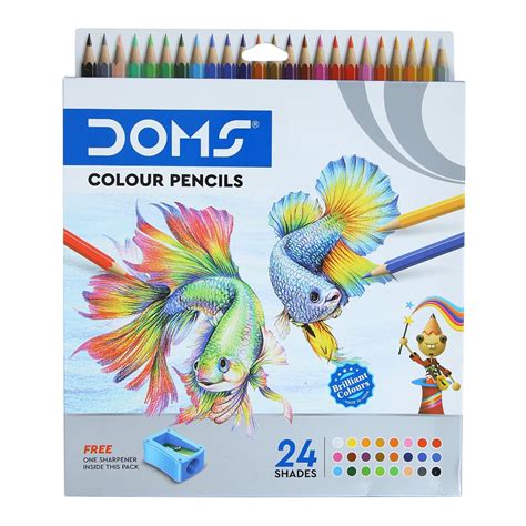 Doms Soft Core Colour Pencil Set for Kids, Standard (Multicolour ...
