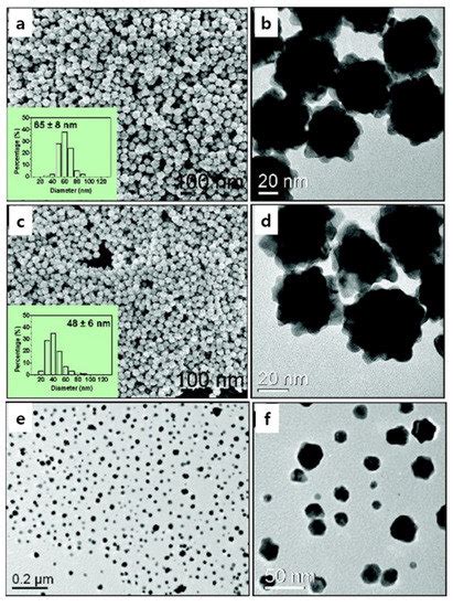 Inorganic Nanoflowers—Synthetic Strategies and Physicochemical ...