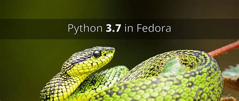 Image result for Python 3.7