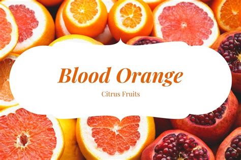 Image result for Food Labels Layout Format