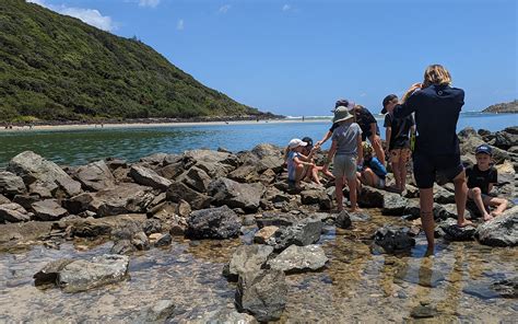 Activities | Recreation, sport and arts | Queensland Government