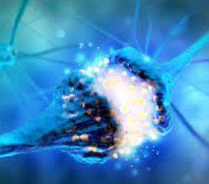 NEUROENGINEERING