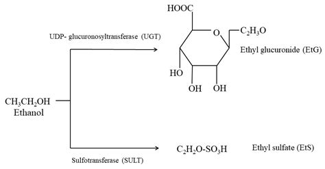 Development and Validation of a Fast and Sensitive UPLC-MS/MS Method ...