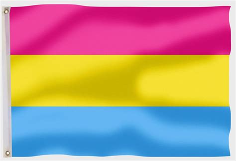 Pan America Flag 的图像结果