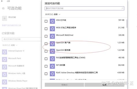 openssh 的图像结果