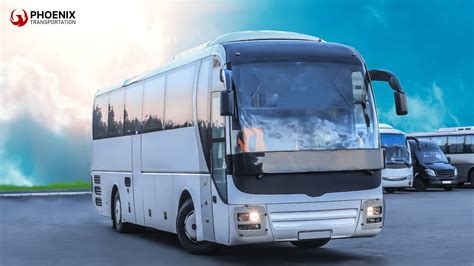 How Long Is a School Bus and Why Does Size Matter?