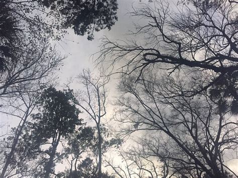 CHASSAHOWITZKA RIVER CAMPGROUND (Homosassa) - Campground Reviews ...