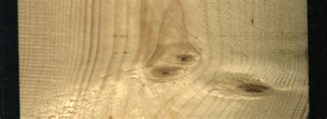 Dataset Logo Images 的图像结果