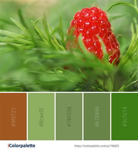 Image result for Raspberry Color Palette