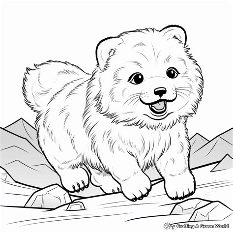 Arctic Fox Coloring Pages - Free & Printable!