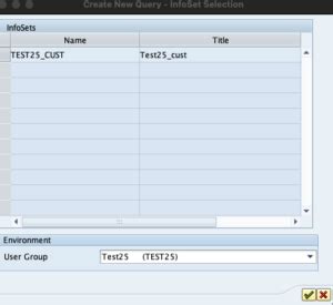 Image result for Getting Started with SAP Query