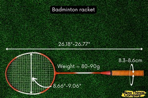 Different Types of Racket 的图像结果