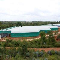 Our Farm - Flower Depot