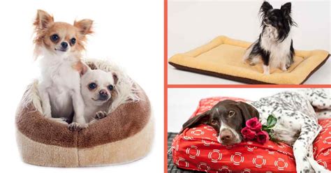 Camas para on sale perro chihuahua