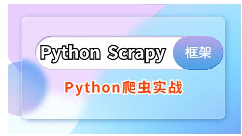 Scrapy Reggae.com 的图像结果