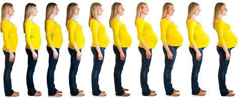 Zwangere buik: is de grootte belangrijk? | ikbenZwanger