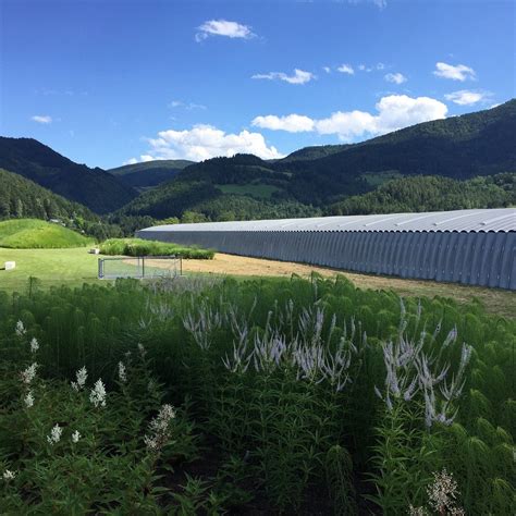 MUSEUM LIAUNIG (2026) All You Need to Know BEFORE You Go (with Photos ...