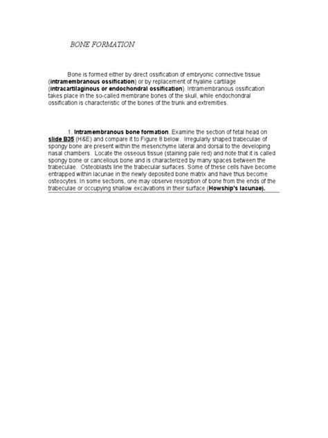 Image result for Process of Bone Formation