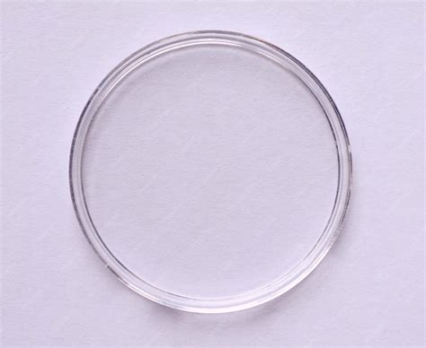 Cell 2D 的图像结果