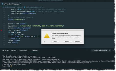 Open SAP through Python 的图像结果