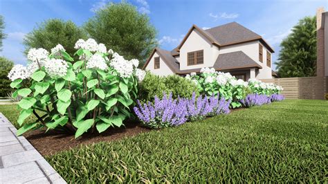 Shop | Plant by Number