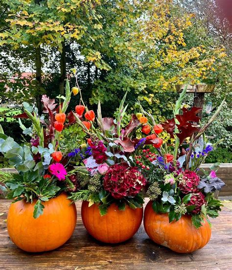 Create your own flower filled Pumpkin ? - Beck Holme Flowers, The Penny ...