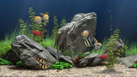 Computer Fish Tank Virtual Free Programs 的图像结果
