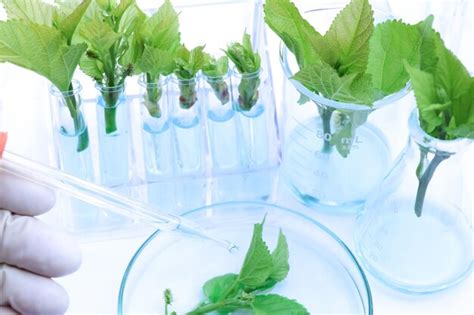 Life Science Experiments 的图像结果